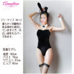 バニーガール　モデル　サイズ　寸法