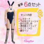 バニーガールコスチューム　セット内容